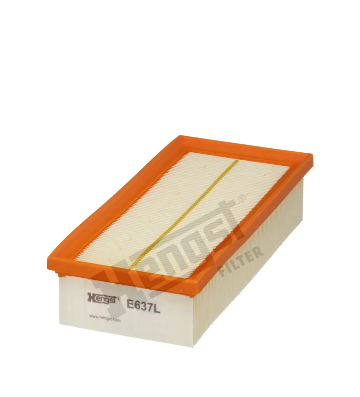 Expressleverans Air filter