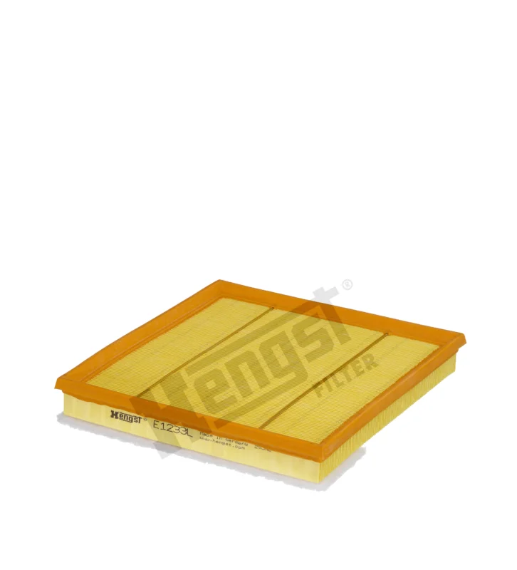 Air filter Reapris