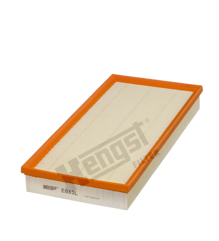 Snabb frakt Air filter