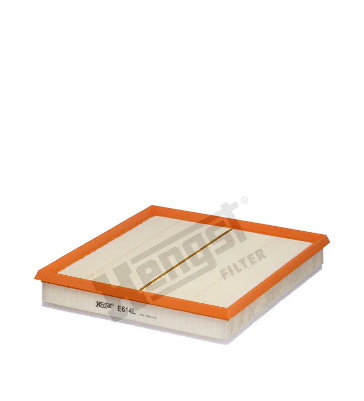 Reapris Air filter